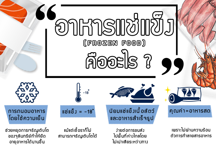 อาหารแช่แข็งคืออะไร,อาหารทะเลสดแช่แข็ง,อาหารแช่แข็งดีหรือไม่,อาหารแช่แข็งมีประโยชน์หรือไม่