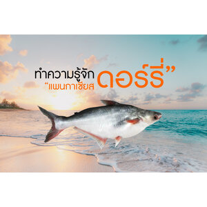 ทำความรู้จัก “แพนกาเซียส ดอร์รี่”