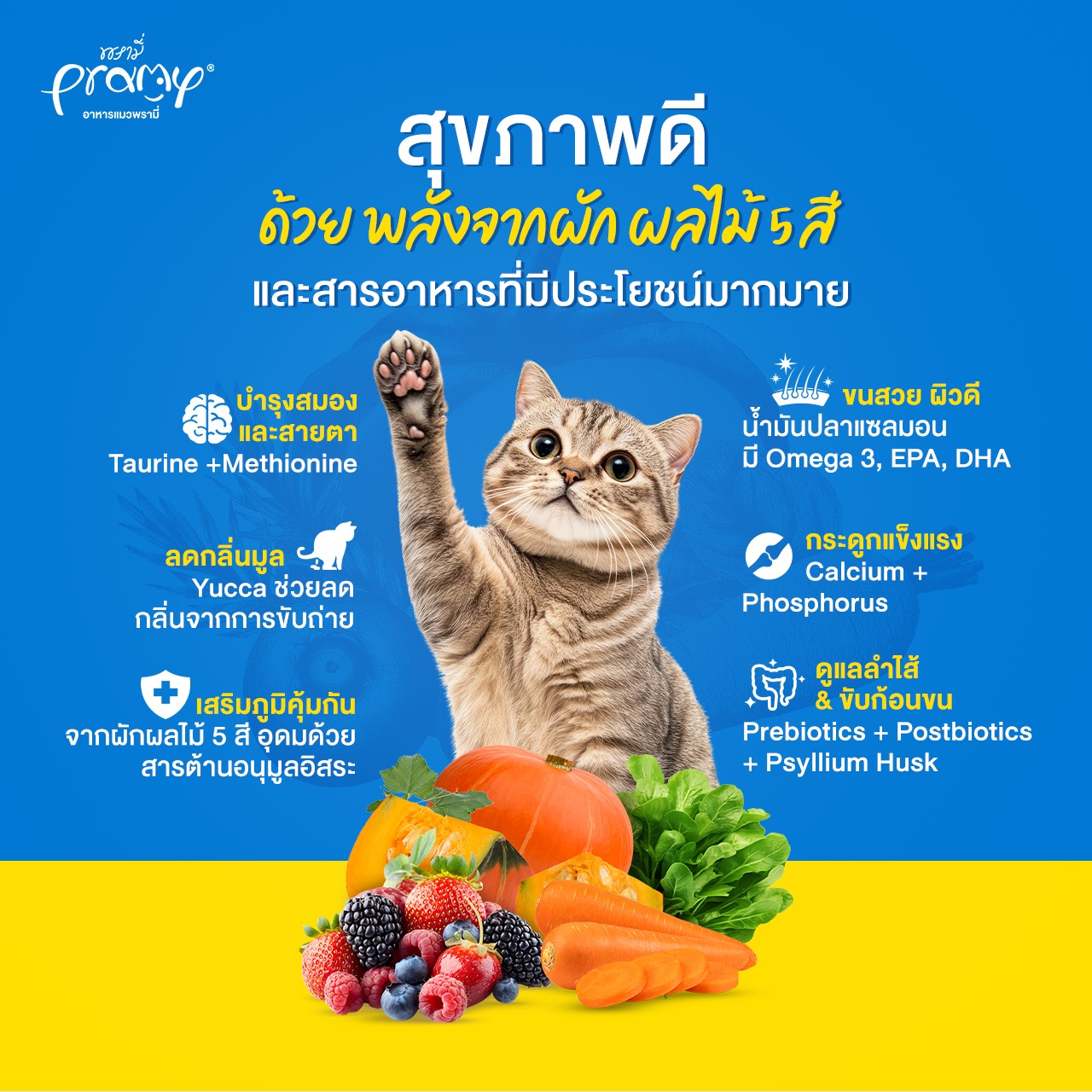 Pramy Carnivore CVK3 แมวโต - รสแซลมอน 1 Kg