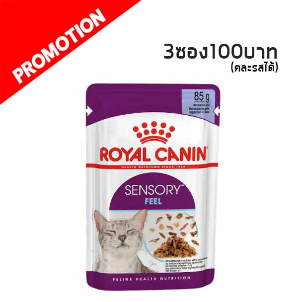 R/Y Sensory Feel Jelly เนื้ออาหารแบบพิเศษ 85g