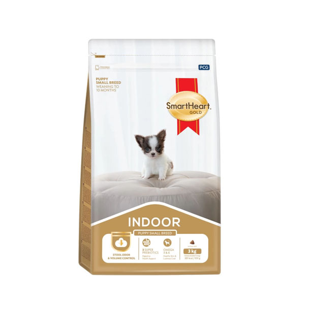 S/H Gold Indoor ลูก - พันธุ์เล็ก 1 Kg (อายุตั้งแต่หย่านม-10เดือน)
