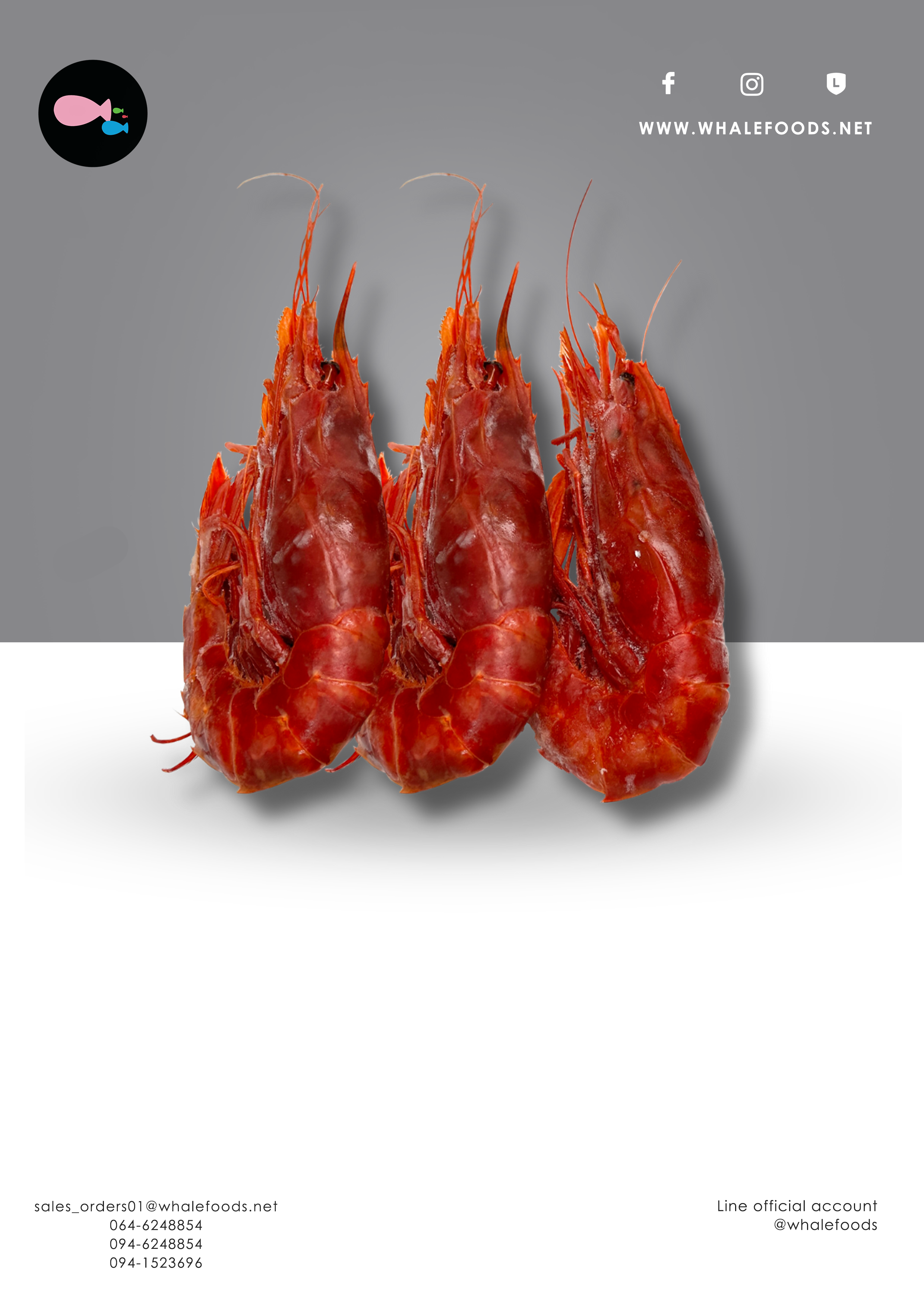 Carabineros size 00