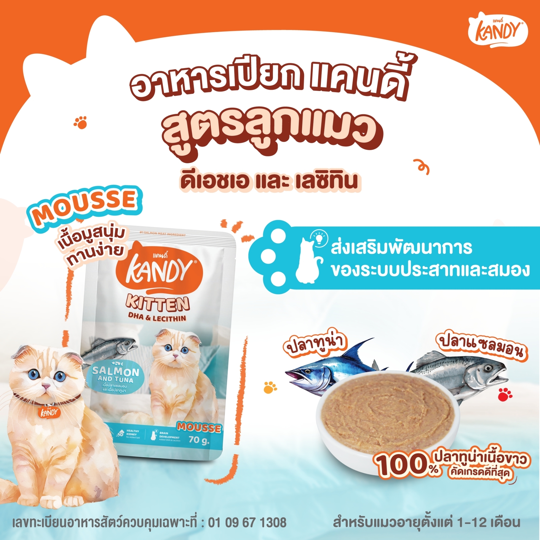 Kandy Kitten มูสแซลมอนและทูน่า 70 กรัม