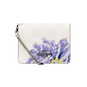 COACH 6262 MINI WALLET IN SIGNATURE CANVAS WITH KAFFE FASSETT PRINT (6262SVRON)