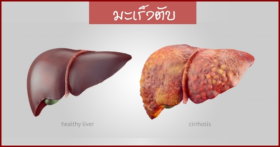 ยาบำรุงตับ