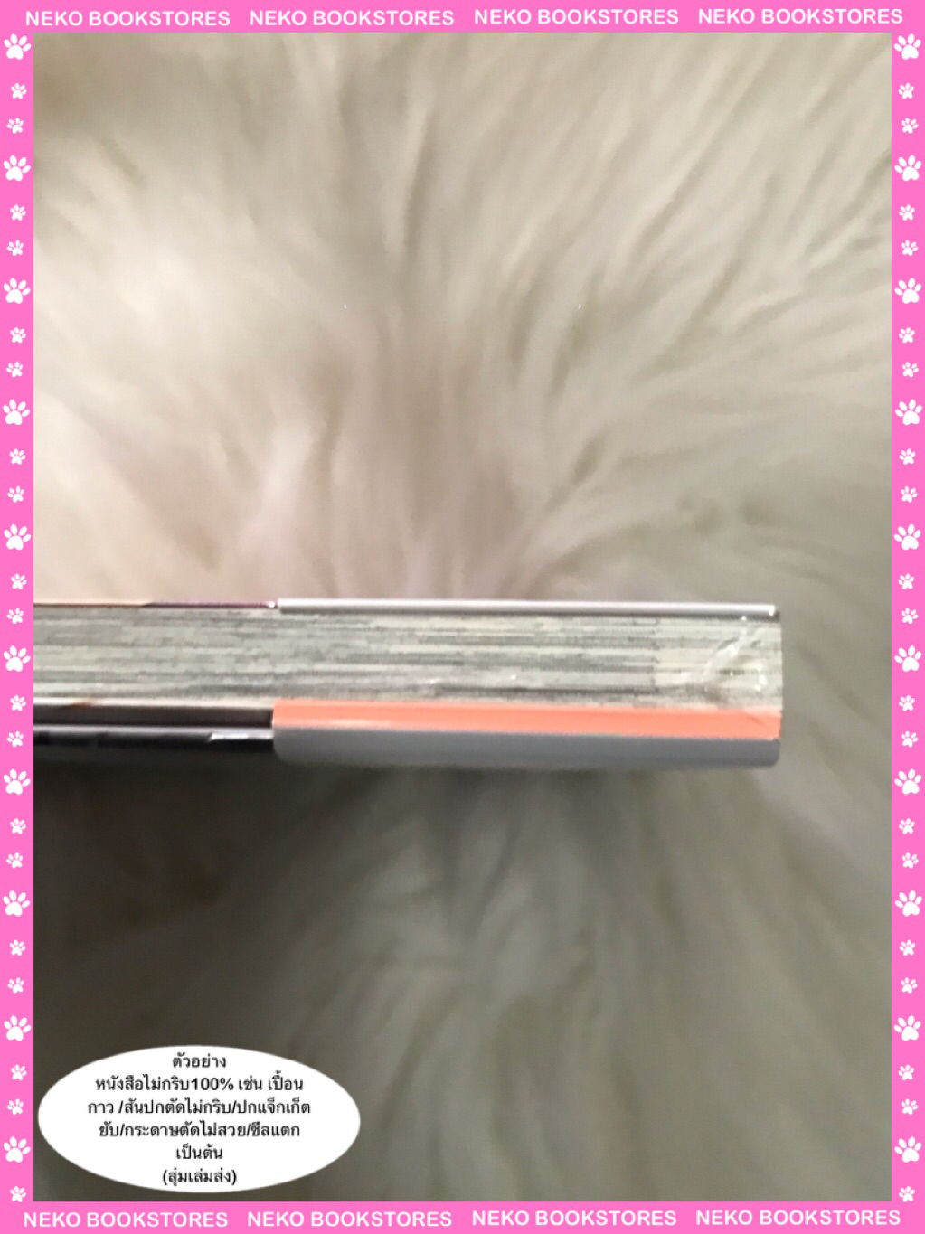 Special Set เป็นเพื่อนสมัยเด็กต่อไปไม่ไหวแล้วครับ เล่ม 3