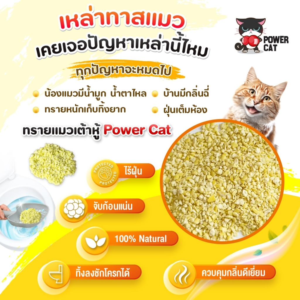 Power Cat ทรายแมวเกล็ดเต้าหู้ กลิ่นนม 10 ลิตร