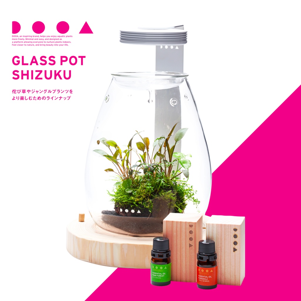 DOOA GLASS POT SHIZUKU โหลแก้วพร้อมฝาปิดสำหรับปลูกไม้ชื้น
