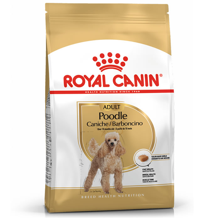 Poodle Adult สุนัขโตพันธุ์พุดเดิล 1. 5 Kg.