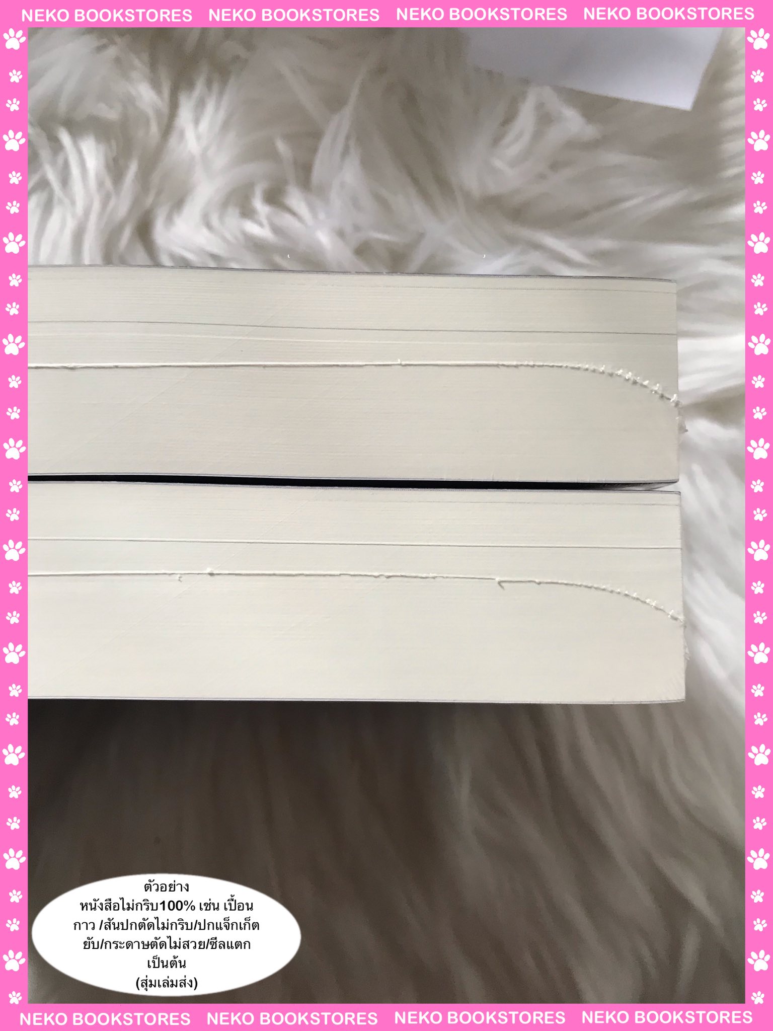 รุ่งสางของแมวจร (เล่มเดียวจบ)