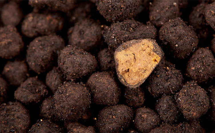 AQUARIO NEO SOIL Normal ดินสำหรับตู้พรรณไม้น้ำ (ขนาดเม็ดปกติ)