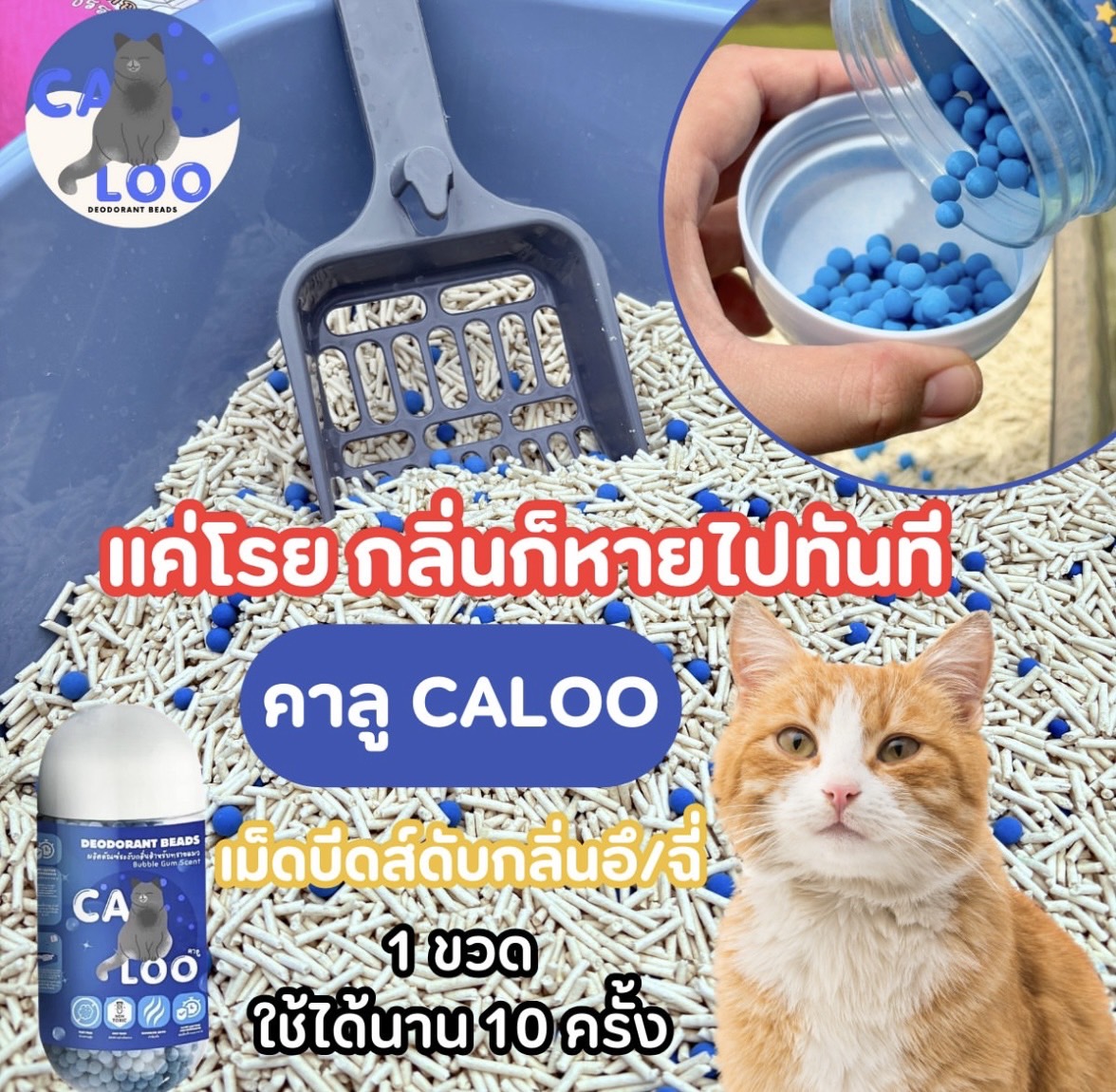 Caloo เม็ดดับกลิ่นทรายแมว กลิ่นบับเบิ้ล กัม 450 กรัม