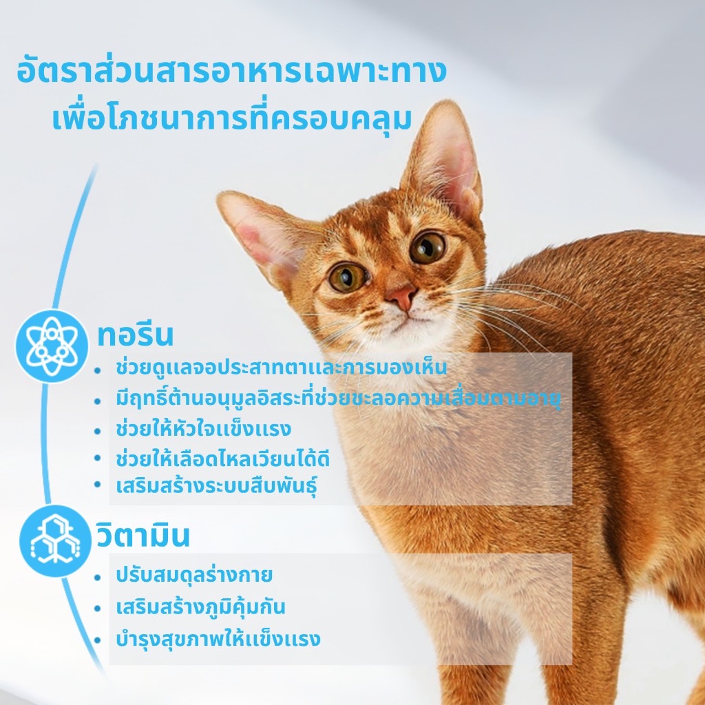 Mr.Vet แมวโต สูตรไก่และเนื้อวัว 1 Kg