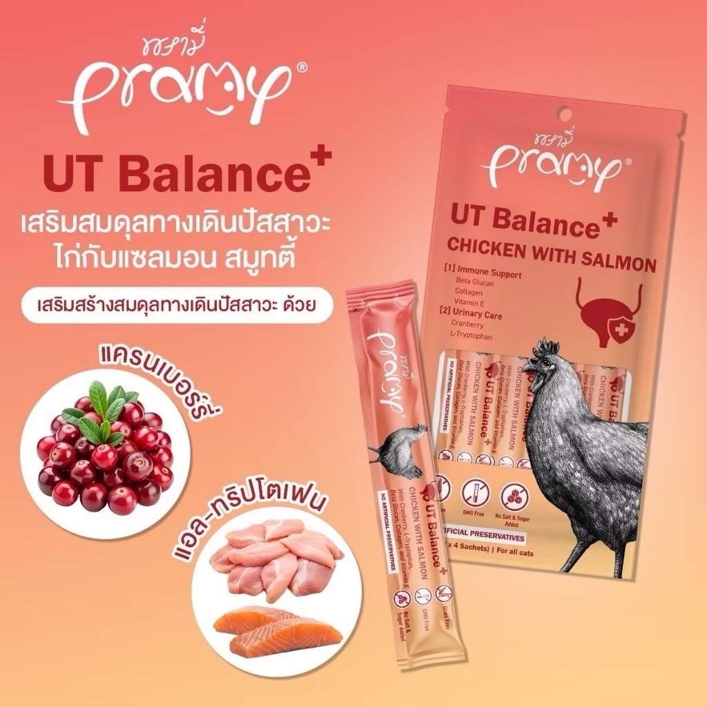 Pramy SM6 UT Balance+ ไก่กับแซลมอน สมูทตี้ 56 กรัม (14gx4)