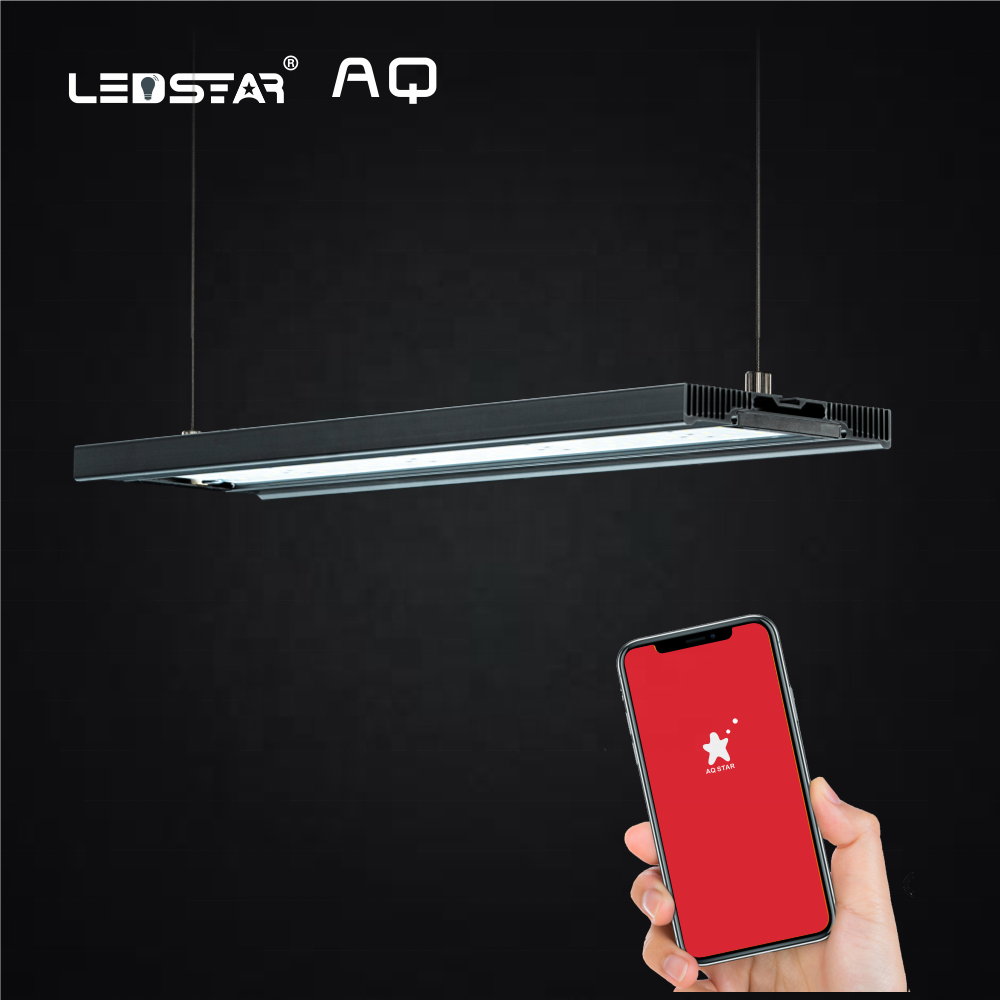 LEDStar AQ Z-90 ไฟปลูกไม้น้ำ แคสตัส ไม่บก เทอราเรี่ยม เหมาะกับตู้ 90-120 ซม.