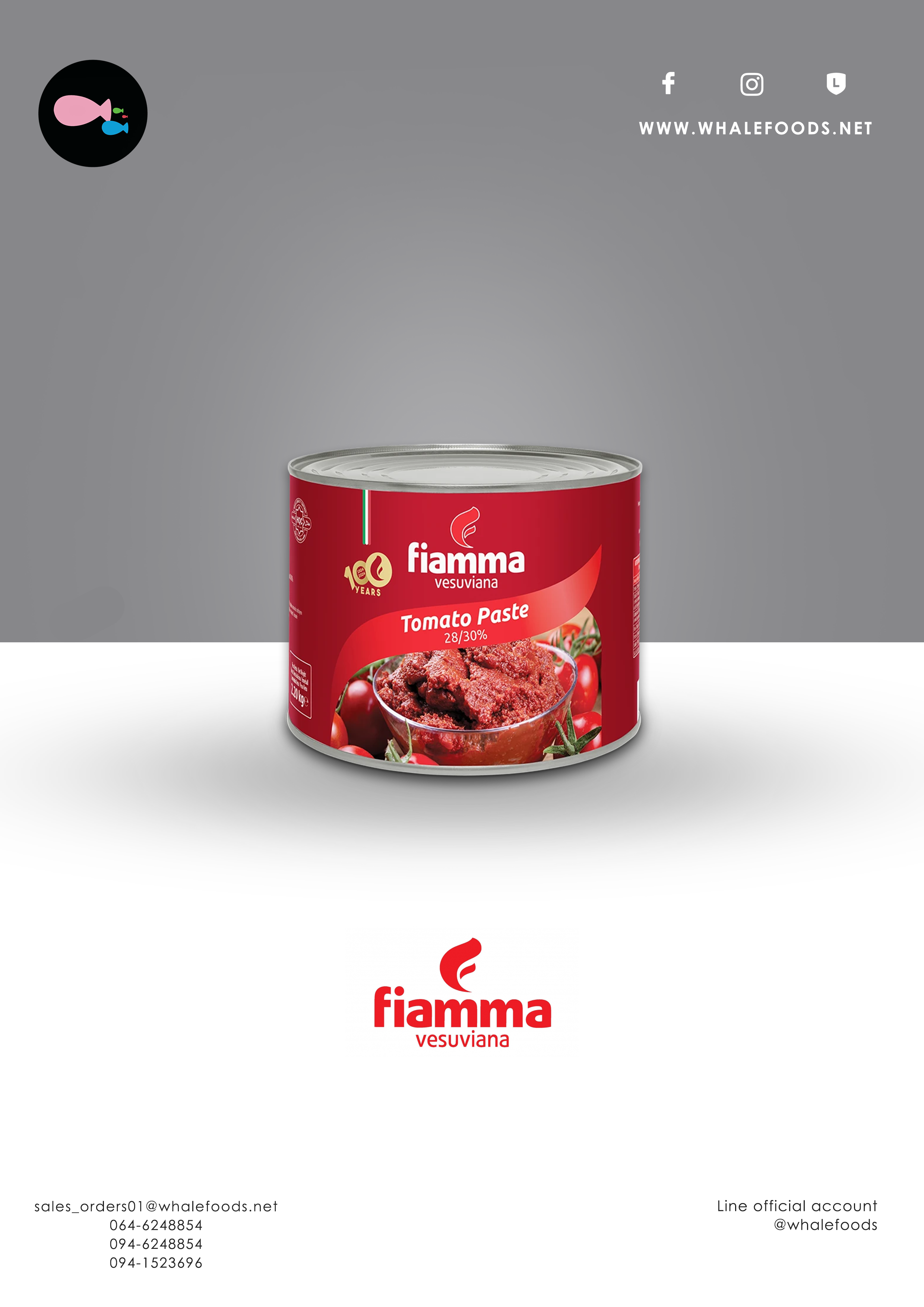 FIAMMA TOMATO PASTE 28/30% FROZEN DRY SIZE : 2.2KG