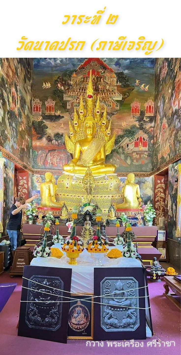 สมเด็จทรงมังกร รุ่นร่ำรวย วัดนาคปรก (ปิดจอง)