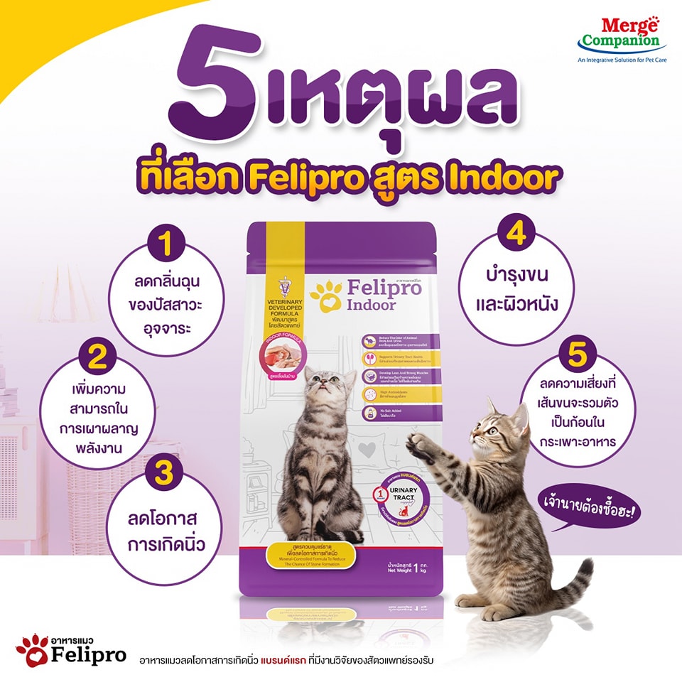Felipro Indoor แมวทุกช่วงอายุ สูตรเลี้ยงในบ้าน 1 Kg