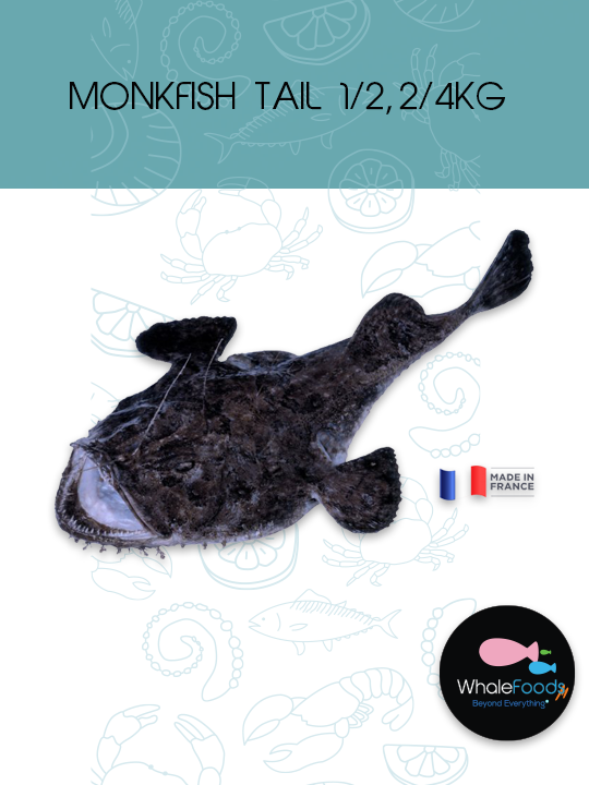 MONKFISH TAIL 1/2, 2/4KG