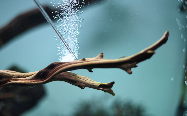 AQUARIO NEO AIR DIFFUSER CURVED หัวกระจายอากาศ รุ่น Curved สำหรับเกี่ยวขอบกระจกโดยไม่ต้องใช้จุกซิลิโคน