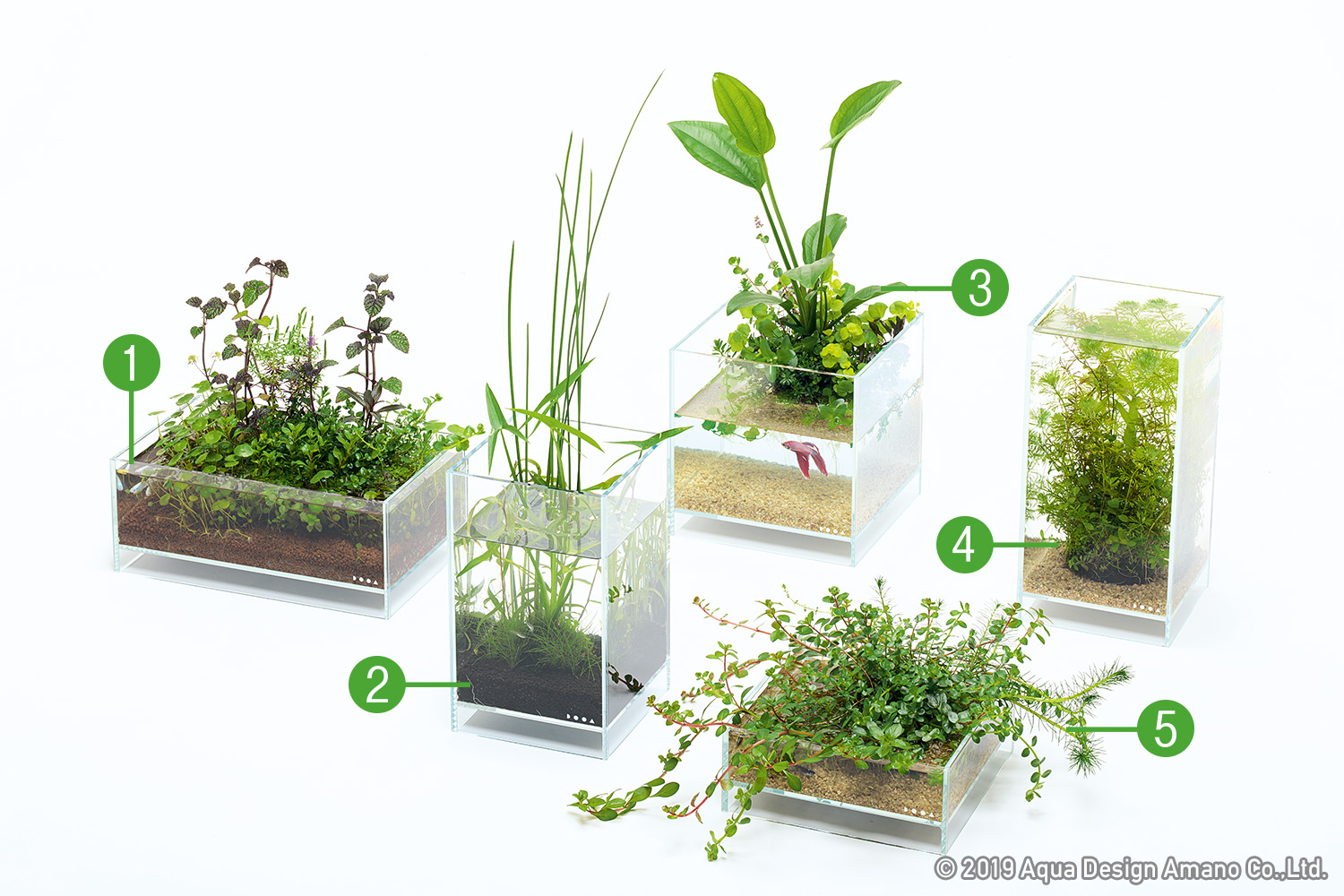 DOOA Neo Glass AIR W20×D20×H8 cm ฐานวาบิคูสะ