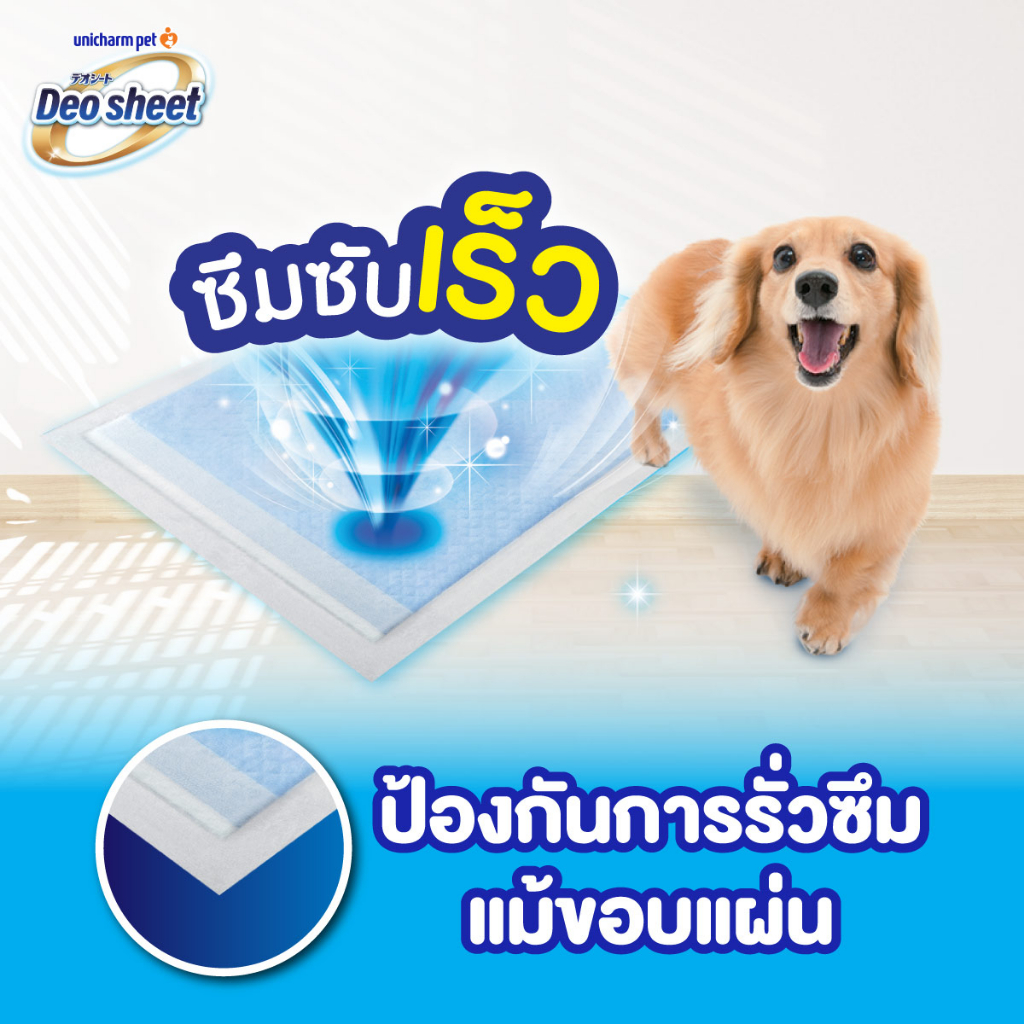 UC Deo Sheet แผ่นรองฉี่ดูดซับไว 60x44 ซม. 36 แผ่น