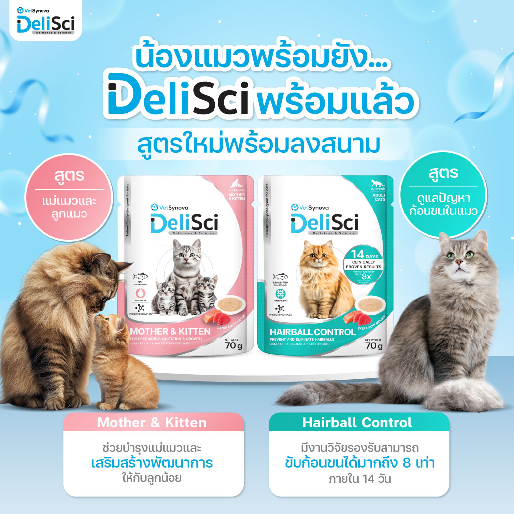 DeliSci - Hairball Control (ควบคุมก้อนขน) 70 กรัม