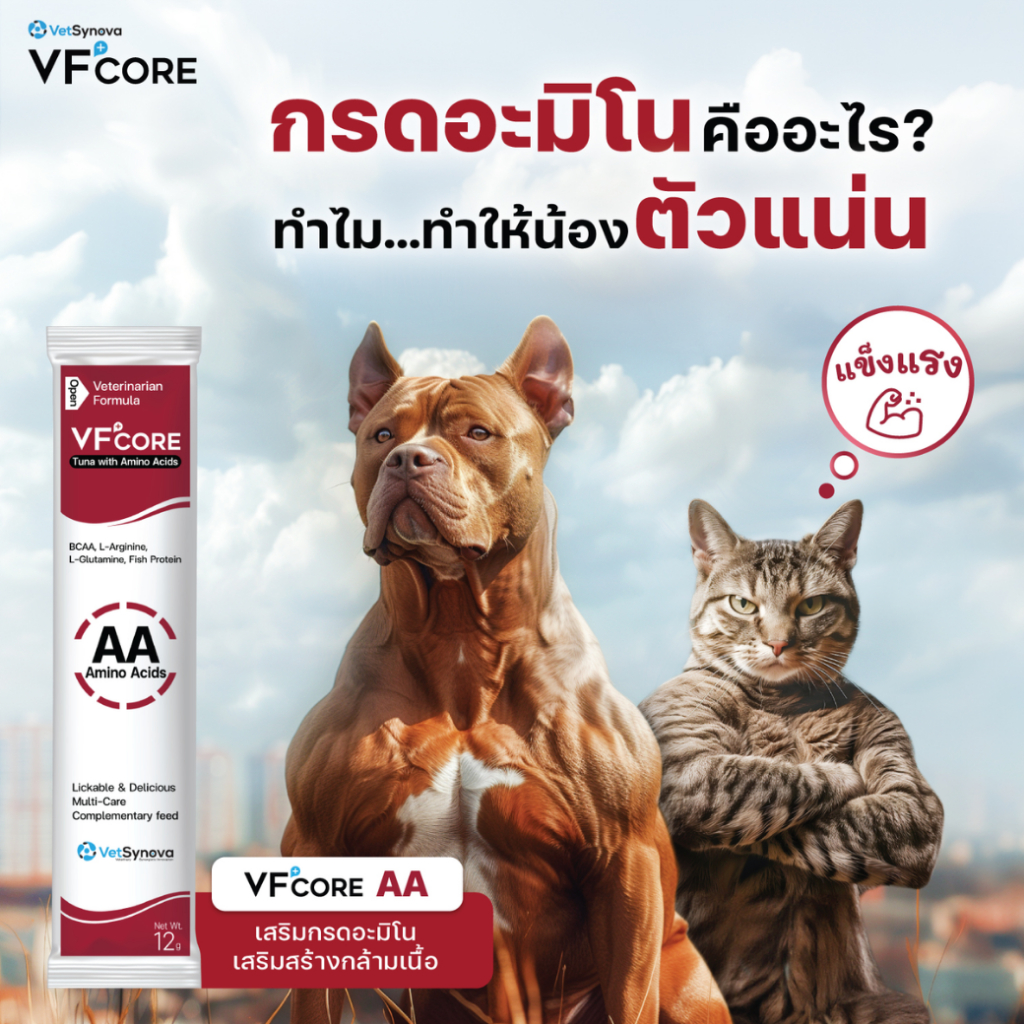 VF+core AA เสริมสร้างกล้ามเนื้อ 12 กรัม (สุนัขเเละแมวทานได้)