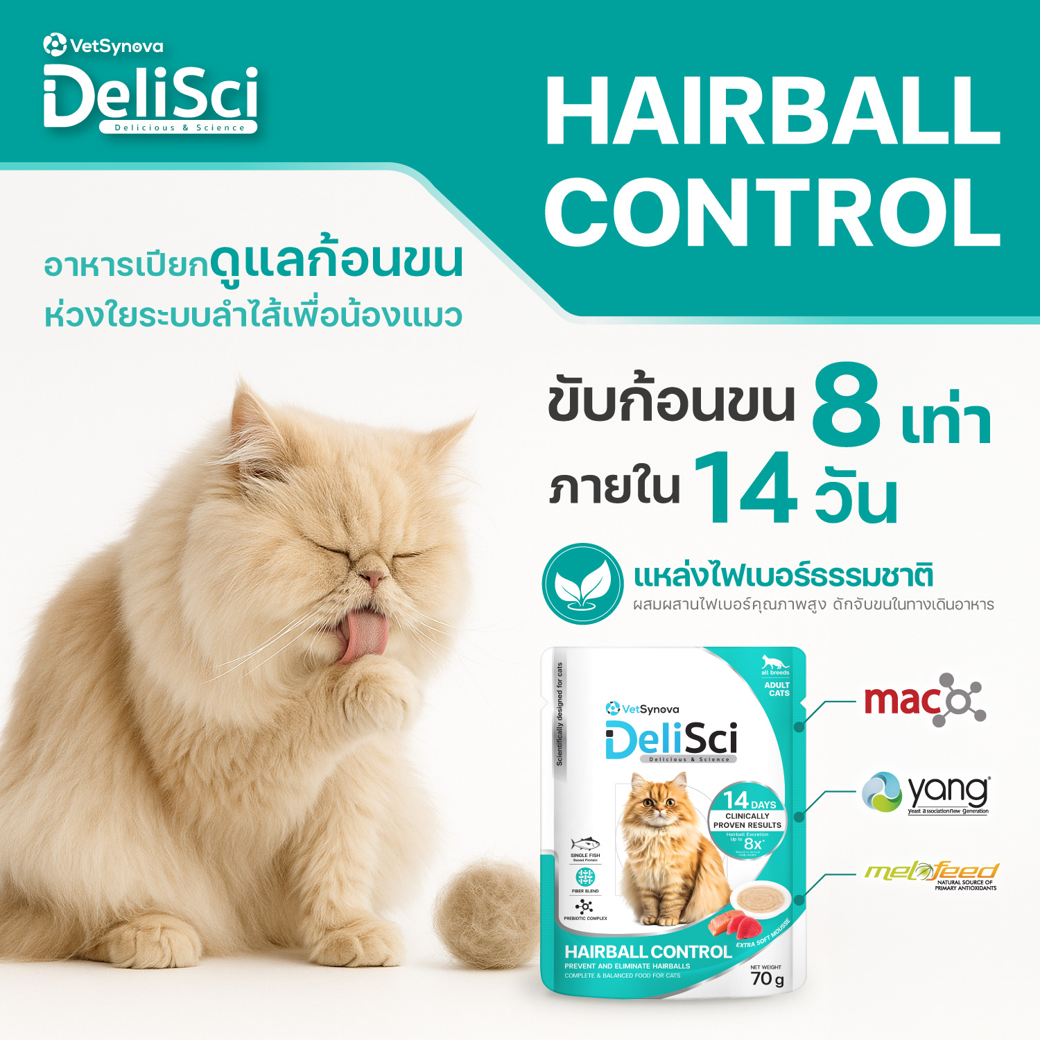 DeliSci - Hairball Control (ควบคุมก้อนขน) 70 กรัม