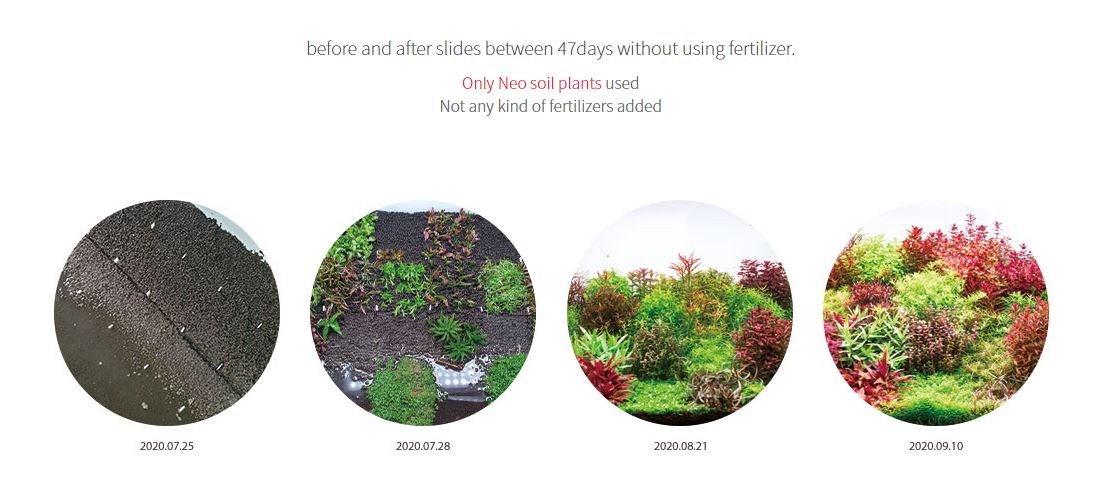 AQUARIO NEO SOIL Normal ดินสำหรับตู้พรรณไม้น้ำ (ขนาดเม็ดปกติ)