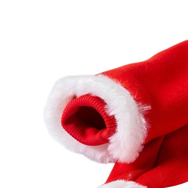 ชุดสัตว์เลี้ยงทรงสิงโตเชิด