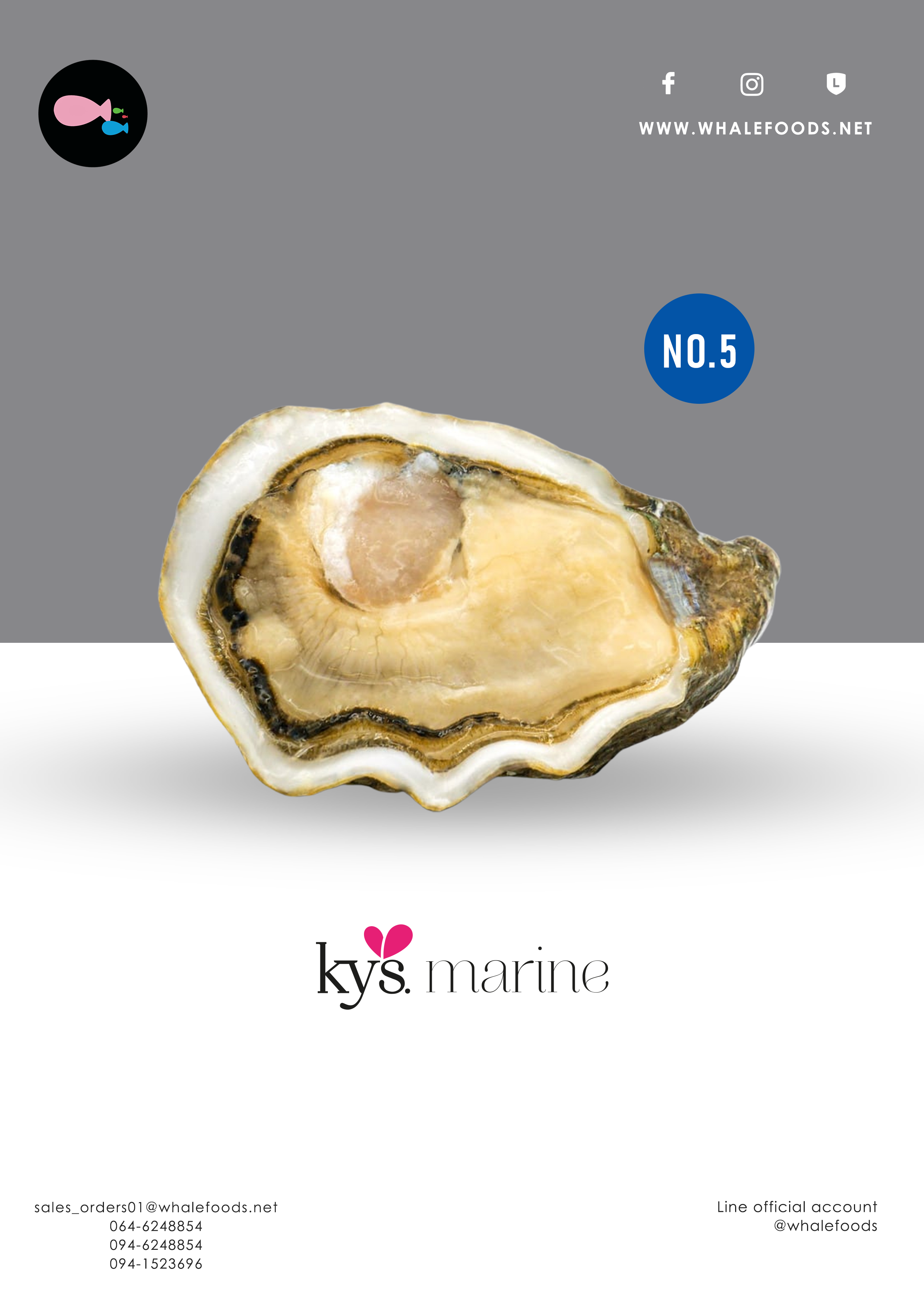 Super Special La Baby-Kys - no.5 - 48pcs