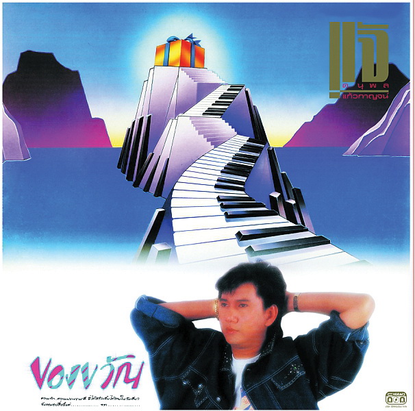 แผ่นเสียงแจ้ ดนุพล ชุดของขวัญ (Black Vinyl)