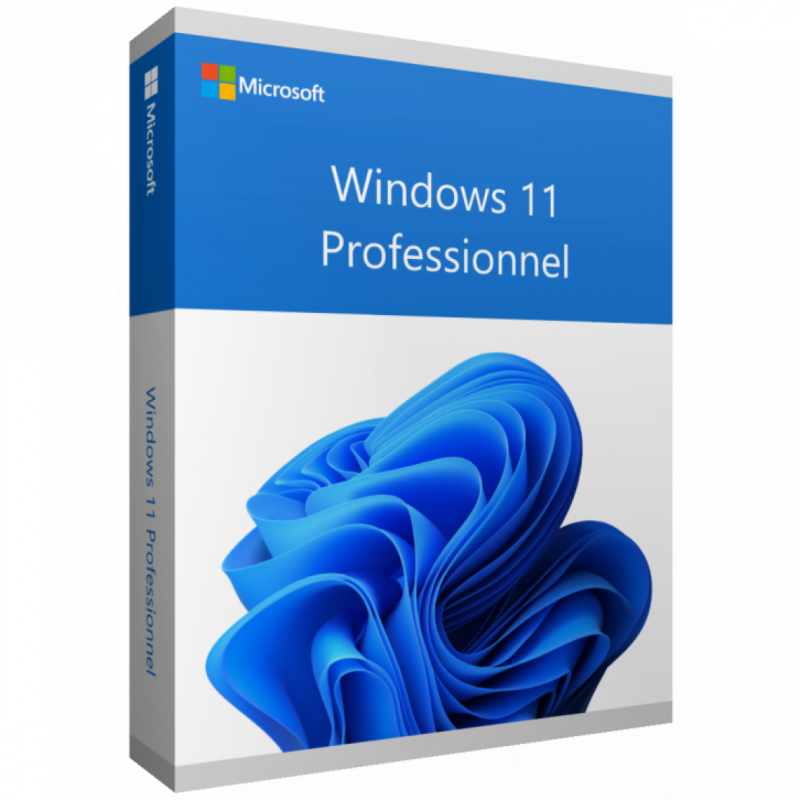 WINDOWS 11 PRO 64 BIT (FPP) HAV-00163