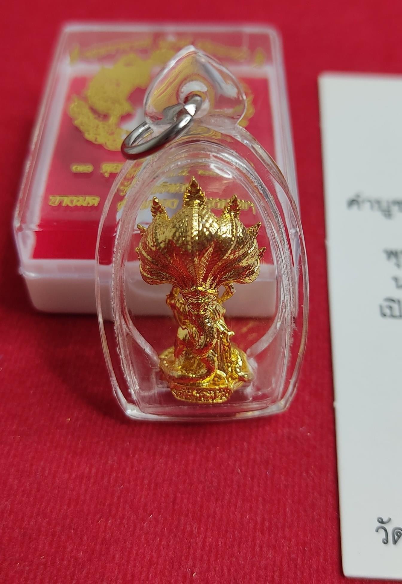 ท้าวเทพพญามุจรินทร์นาคราช ปี 63