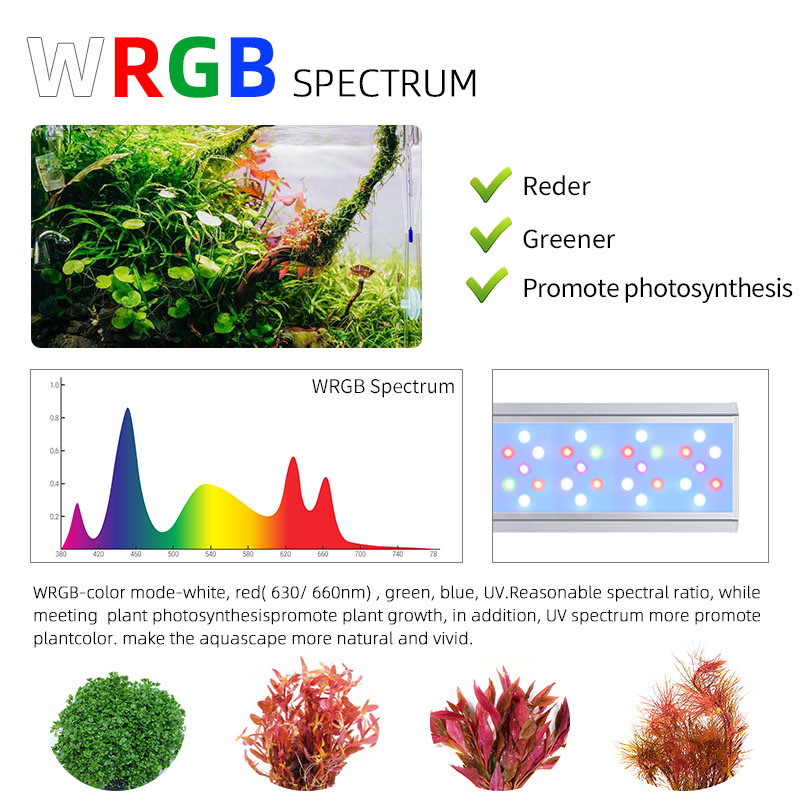 โคมไฟ LED WEEK AQUA V Series WRGB ไฟตู้ไม้น้ำ ไฟเลี้ยงแคคตัส ไฟเลี้ยงไม้อวบน้ำ ไฟเลี้ยงไลทอป