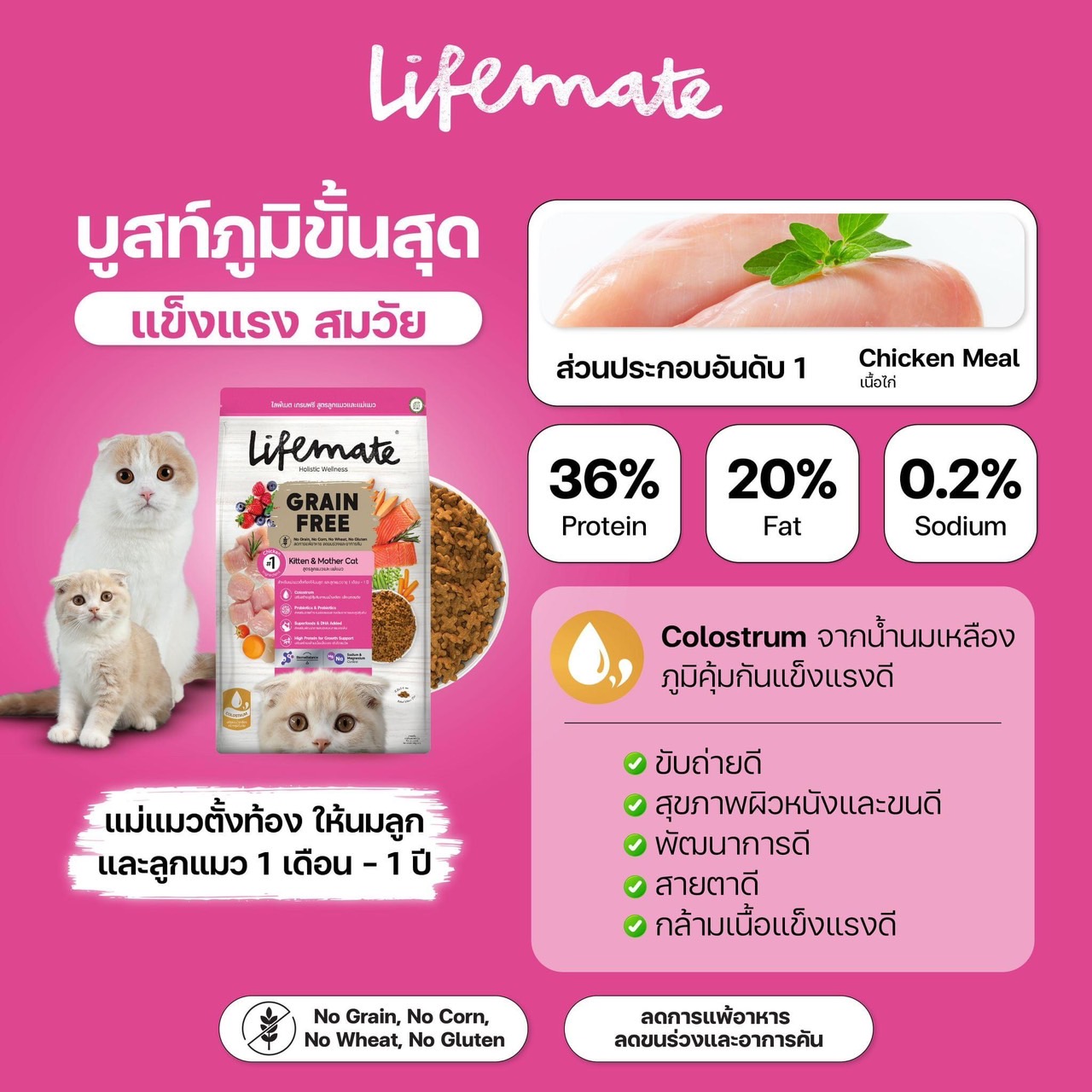 Life Mate Grain Free C12 ลูกแมวและแม่แมว 1.1 กิโลกรัม