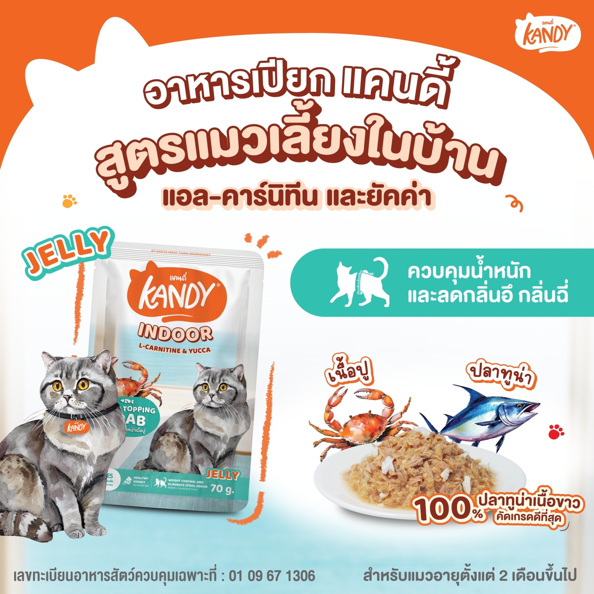 Kandy Indoor ปลาทูน่าหน้าเนื้อปู 70 กรัม