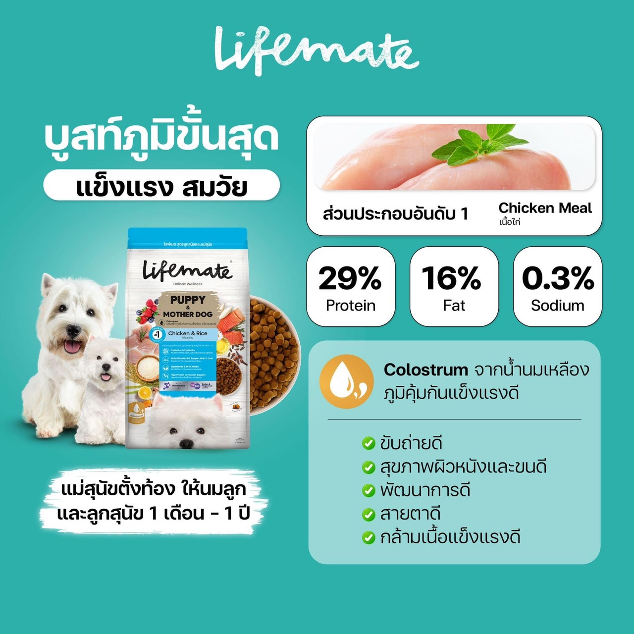Life Mate D12 ลูกสุนัขและแม่สุนัข 1.2 Kg