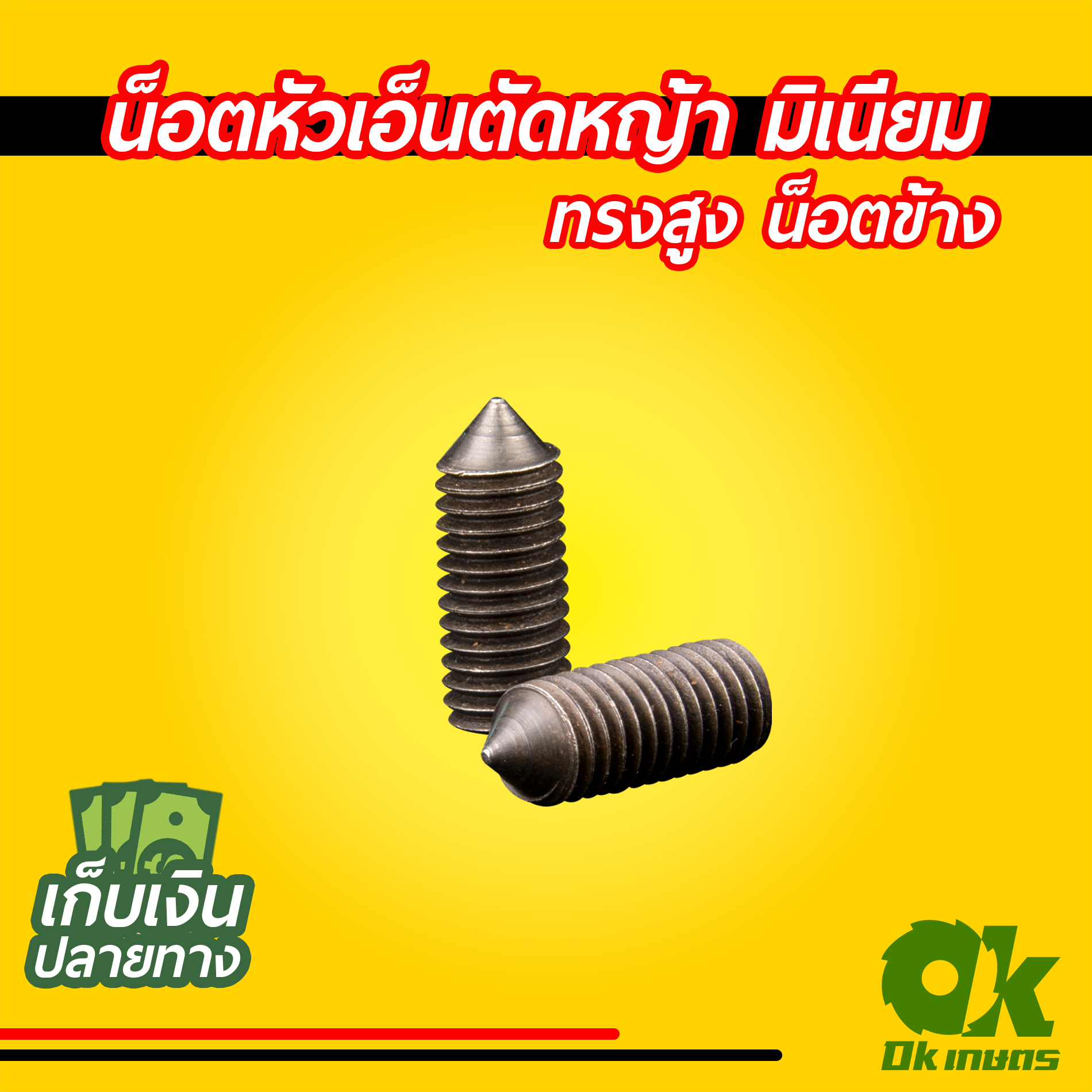 น๊อต น๊อตหัวเอ็นตัดหญ้า มิเนียม สูง น็อตข้าง