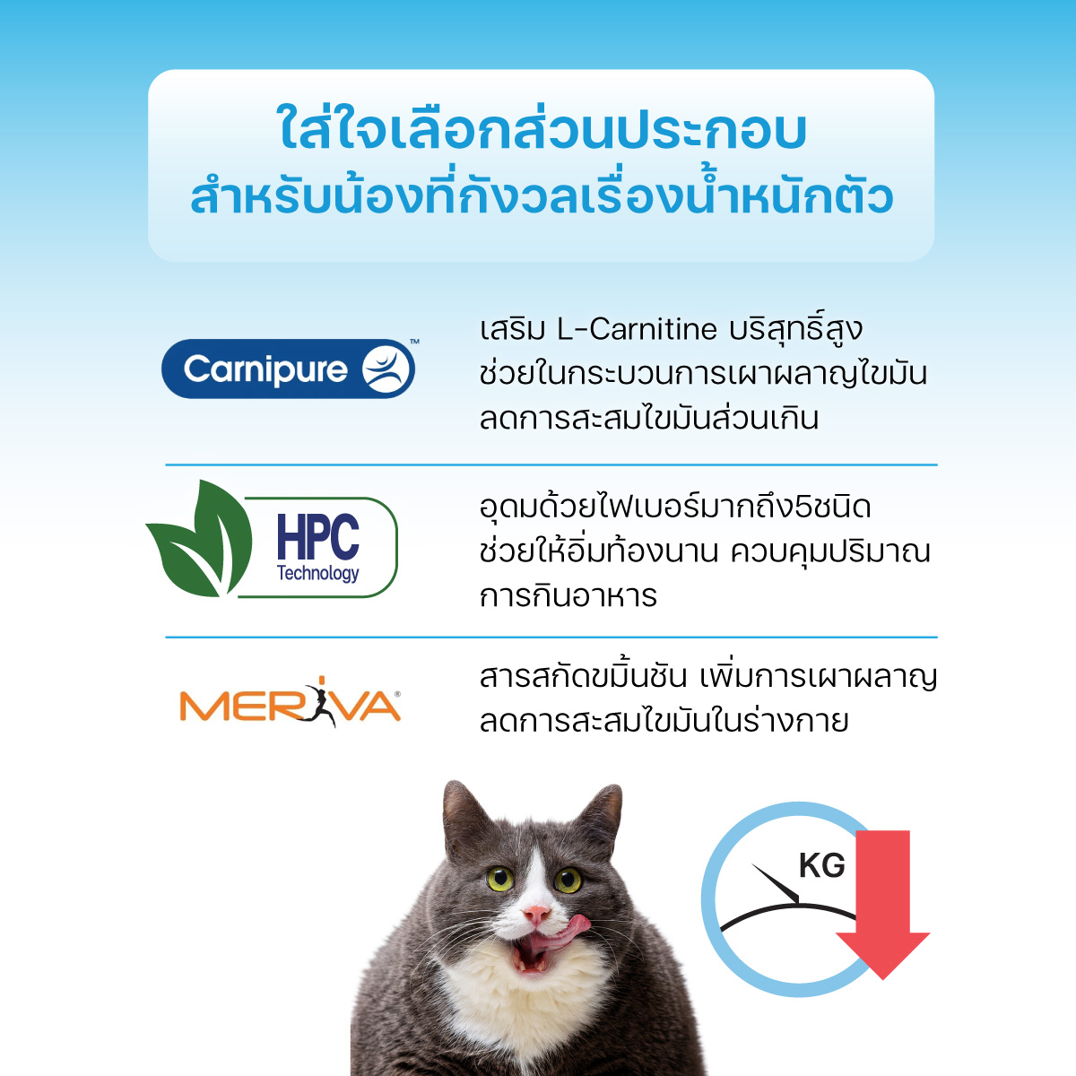 VF+core LC ไขมันต่ำ สูตรควบคุมน้ำหนัก ส่งเสริมการเผาผลาญ ทูน่ากับแซลมอน 12 กรัม (สำหรับแมวเท่านั้น)