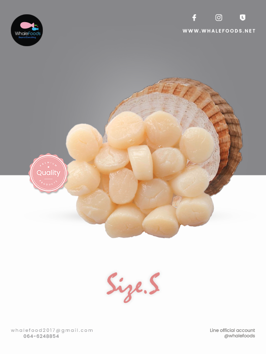 Hokkaido Scallop (Japanese Hotate) Size.S 31/35 PC.