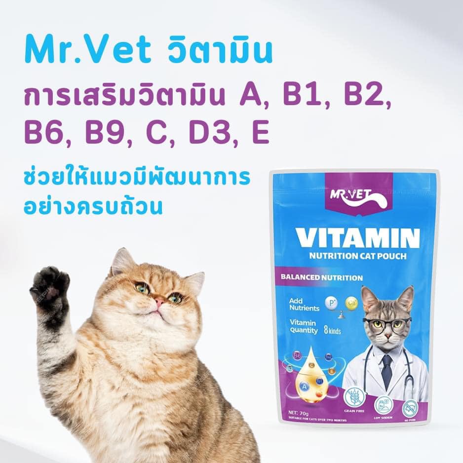 PR Mr.Vet Vitamin Balanced Nutrition 70 กรัม (ม่วง)