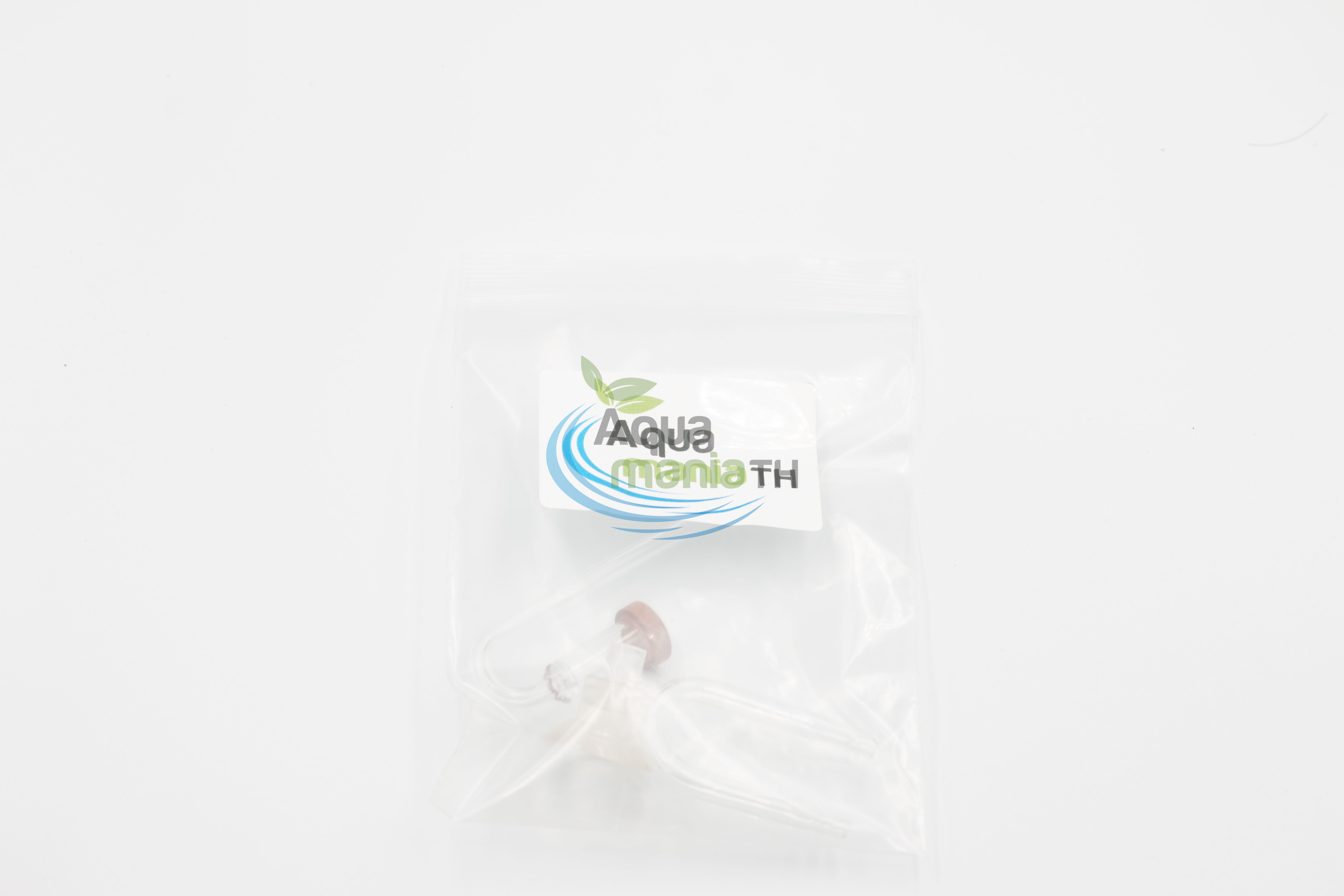 AquamaniaTH CO2 Diffuser - หัวดิฟคาร์บอนไดออกไซด์ ฟองละเอียด พร้อมข้องอแก้ว