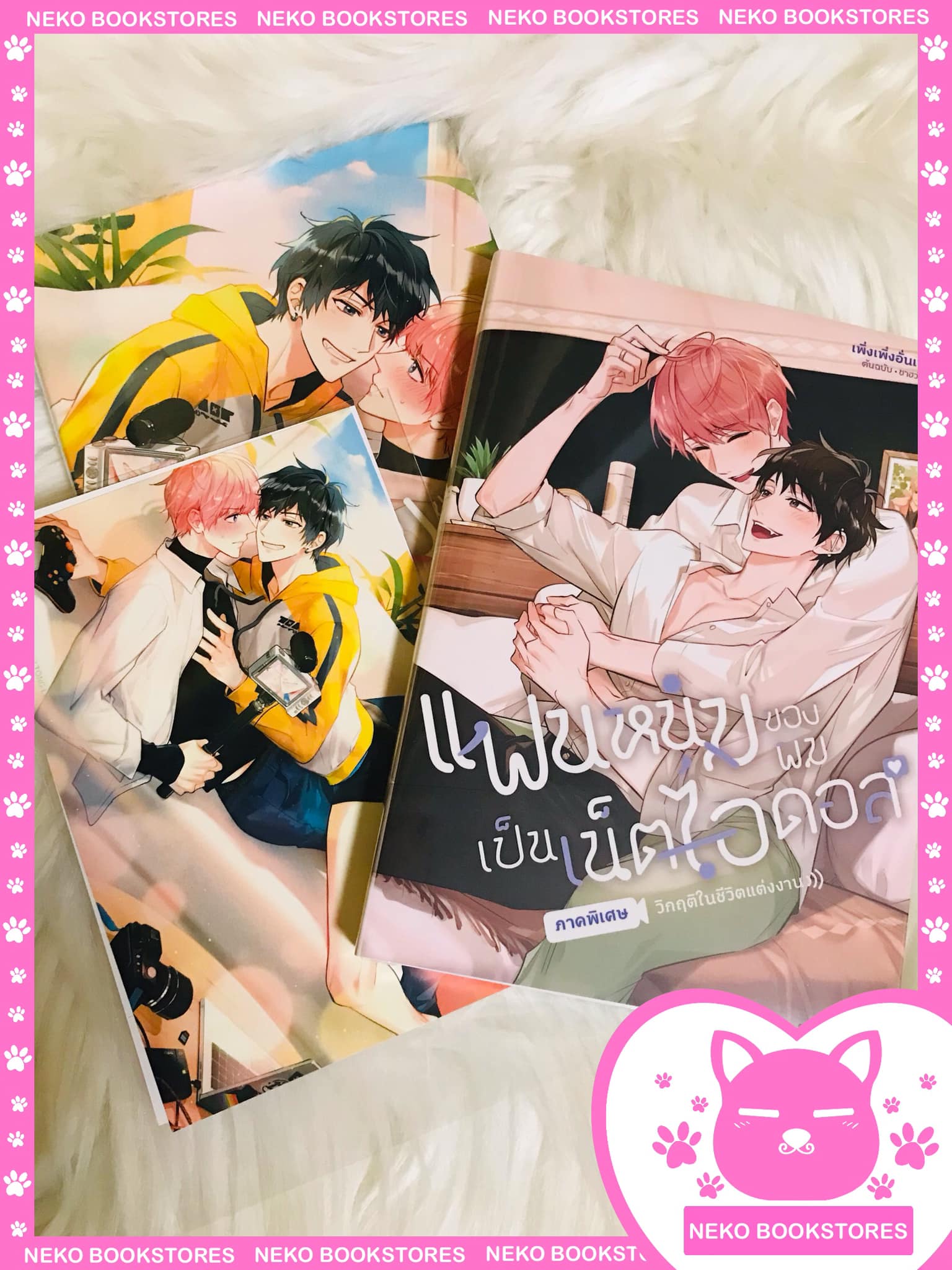 Normal Set แฟนหนุ่มของผมเป็นเน็ตไอดอล 2 เล่มจบ (นิยายภาคพิเศษ)