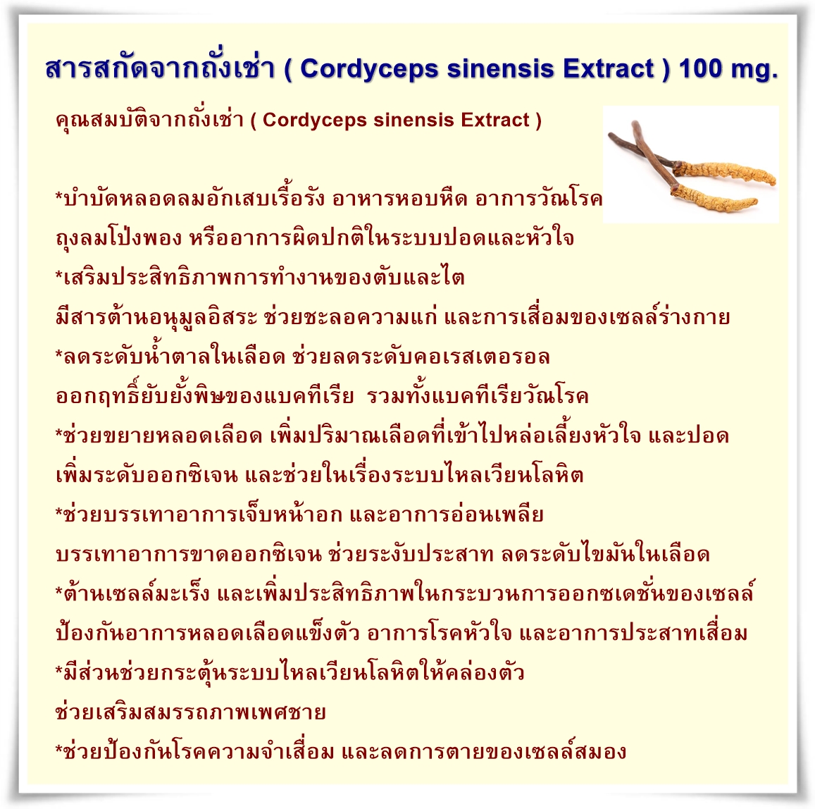  Korejins D โกเรจินส์ ดี