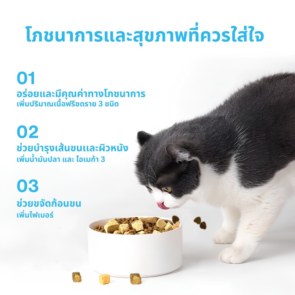 Mr.Vet แมวโต สูตรไก่และเนื้อวัว 1 Kg