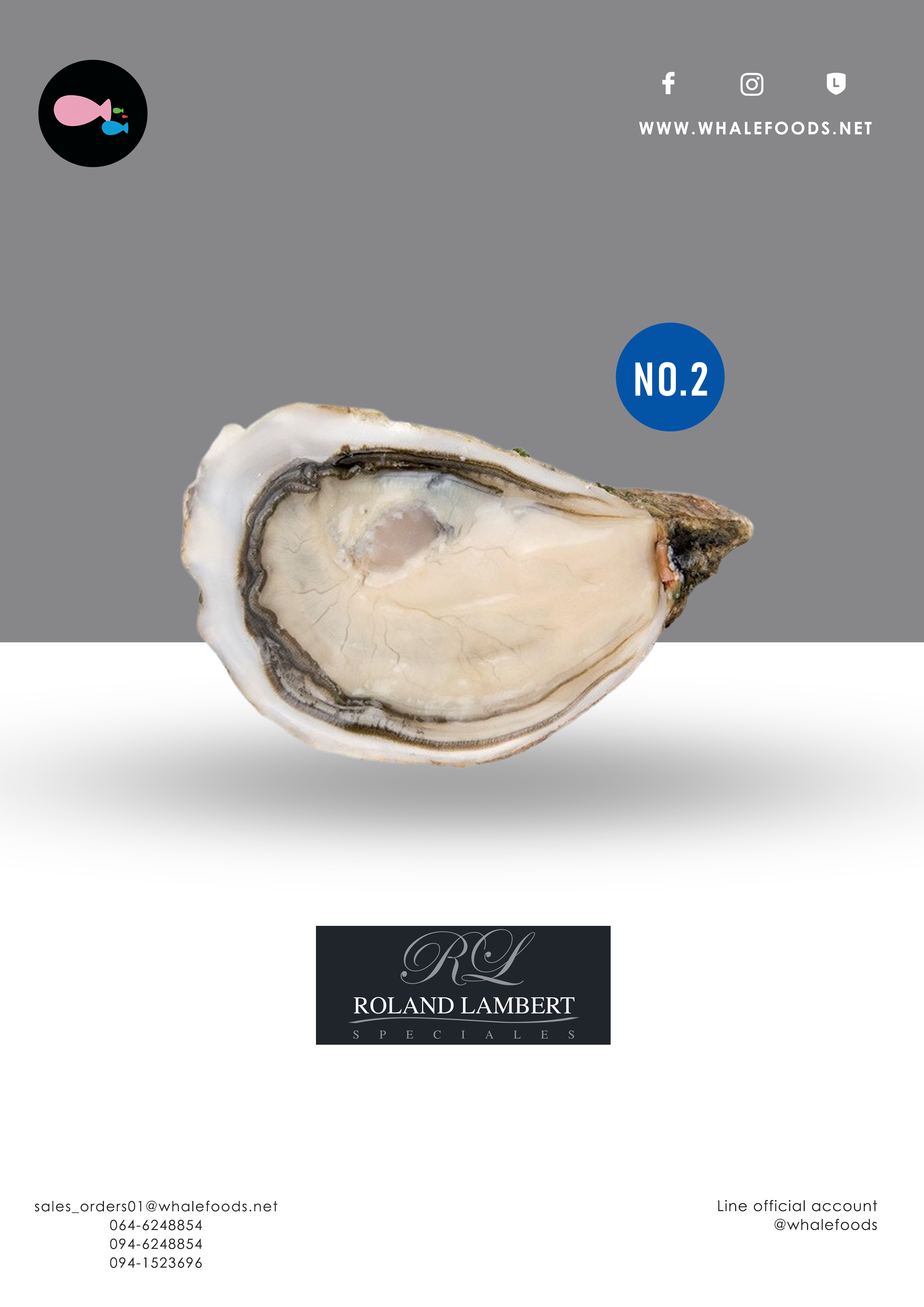 Pousse en claire oyster