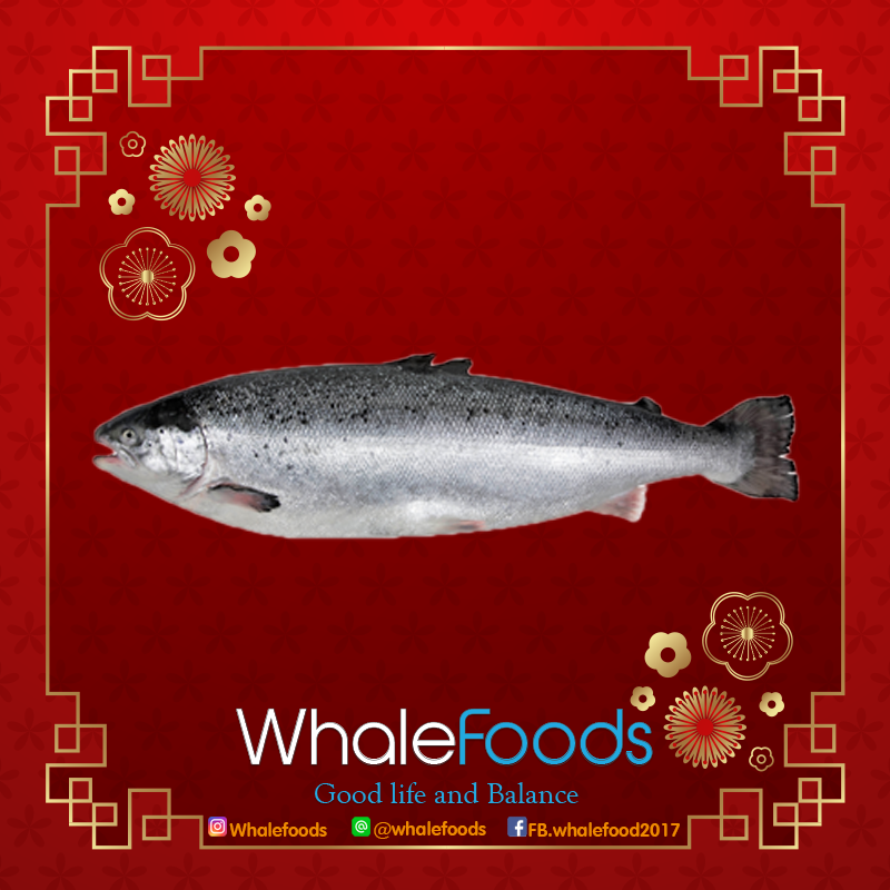 Tasmanian Salmon