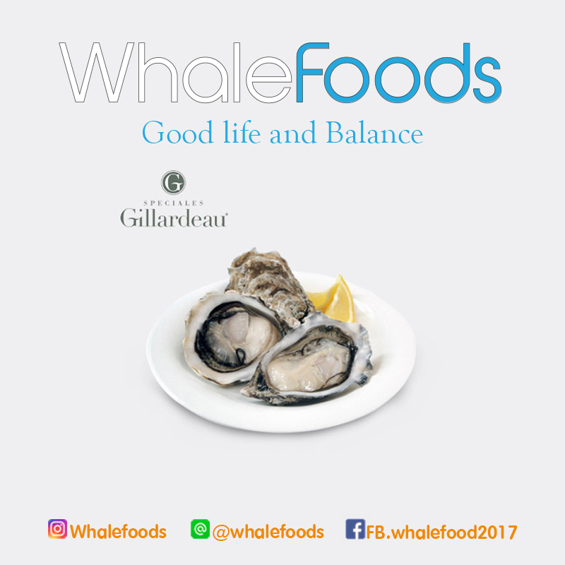 Gillardeau oyster (ชีลลาร์โด) No.1